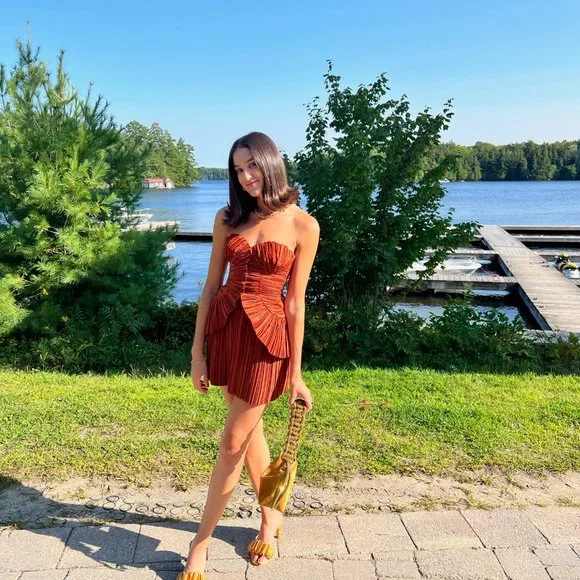 CULT GAIA CHARLIQUE DRESS SIZE 0 - Picture 4 of 4